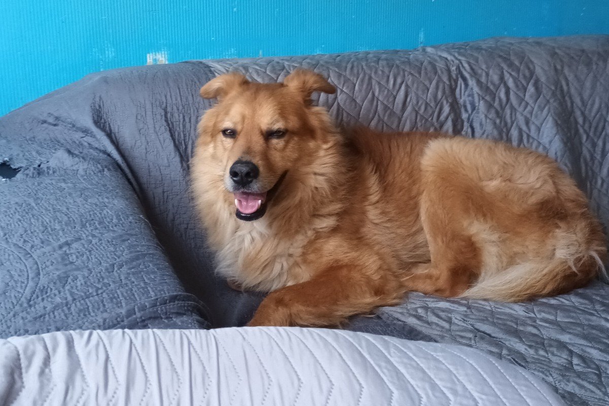 Sam