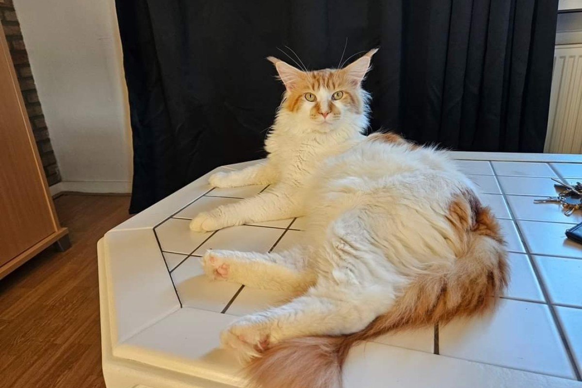 Ragnar