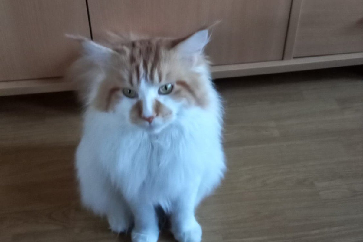 Ragnar
