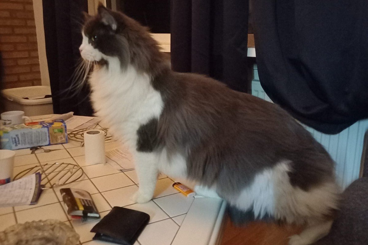 Freya