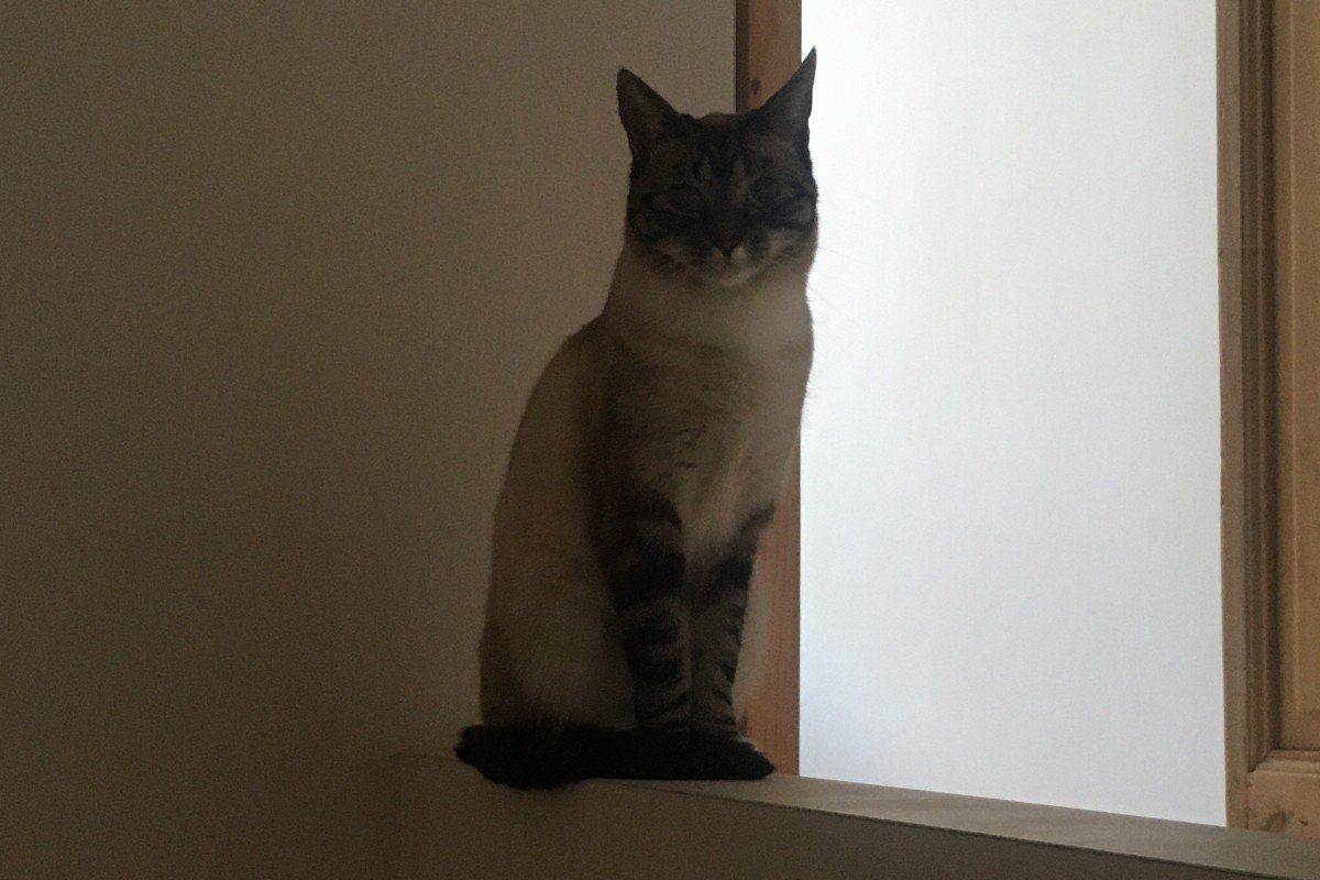NIVI
