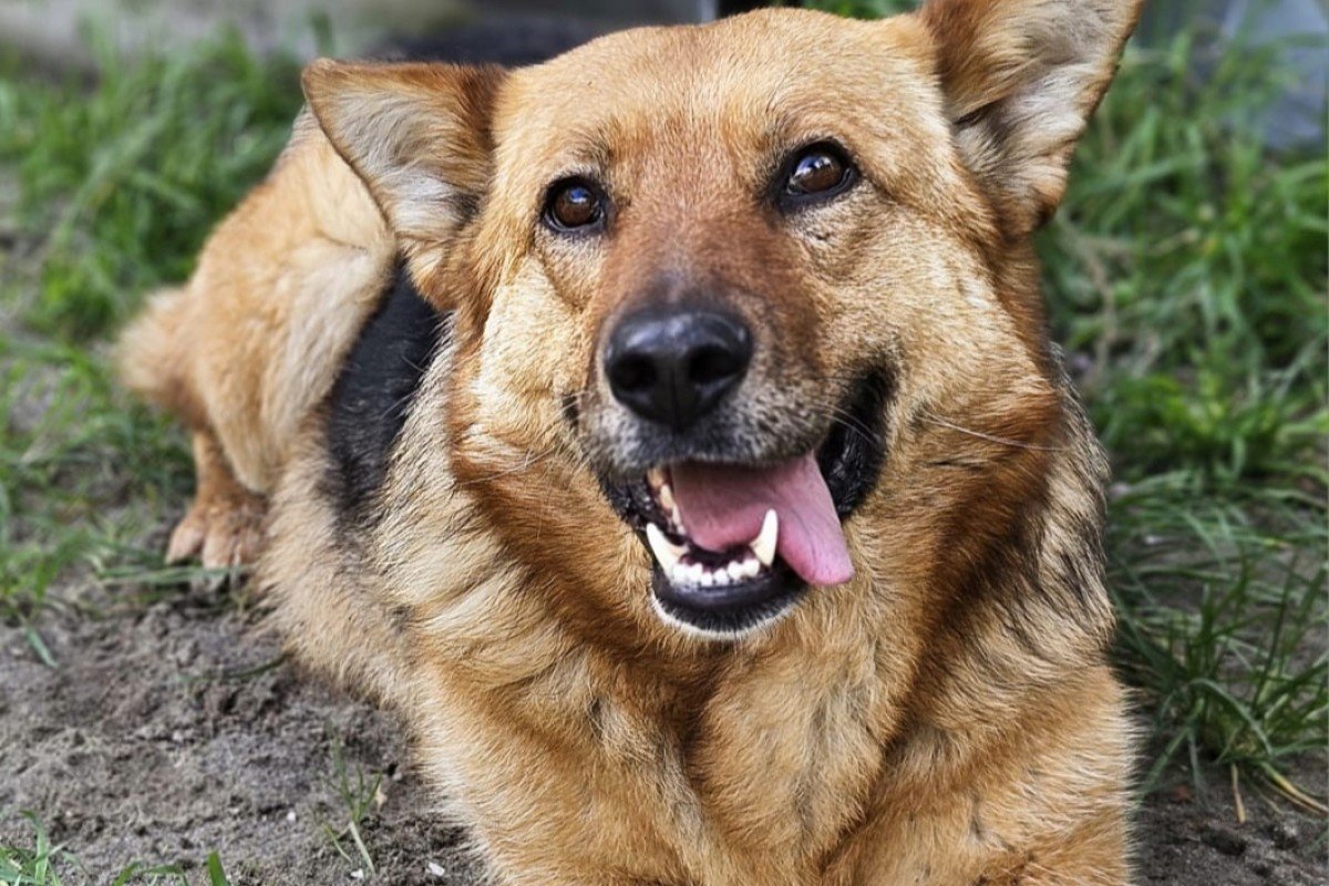Lilou