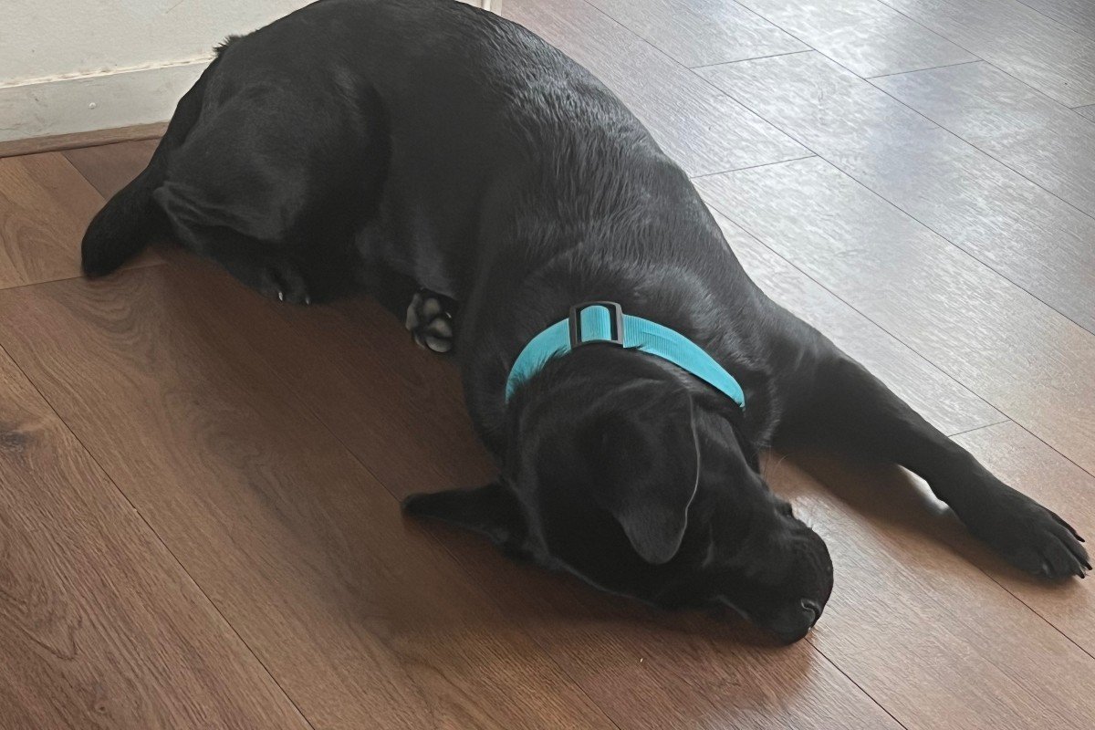 Odin