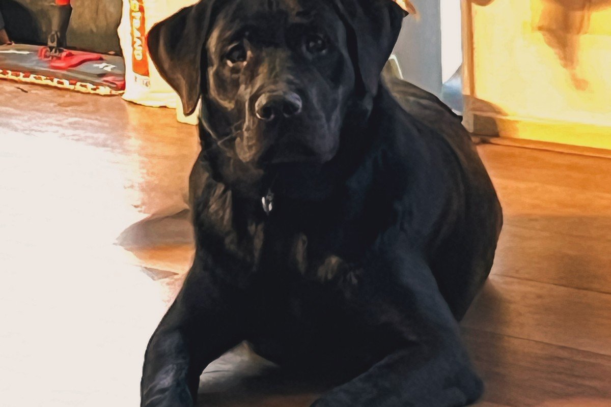 Odin