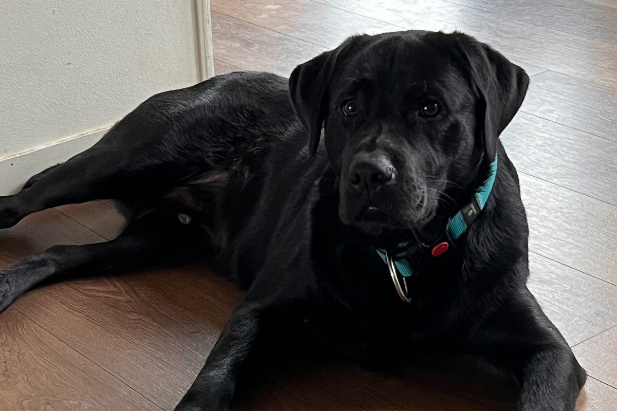 Odin