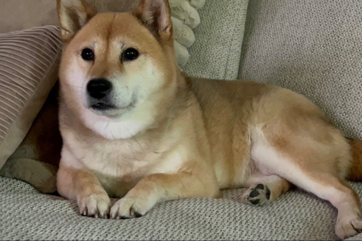 Akira