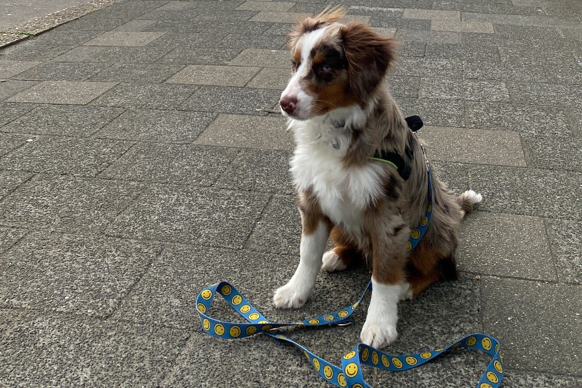 Murphy