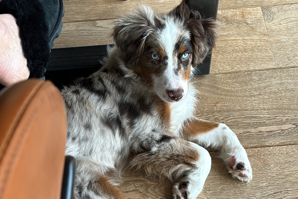 Murphy