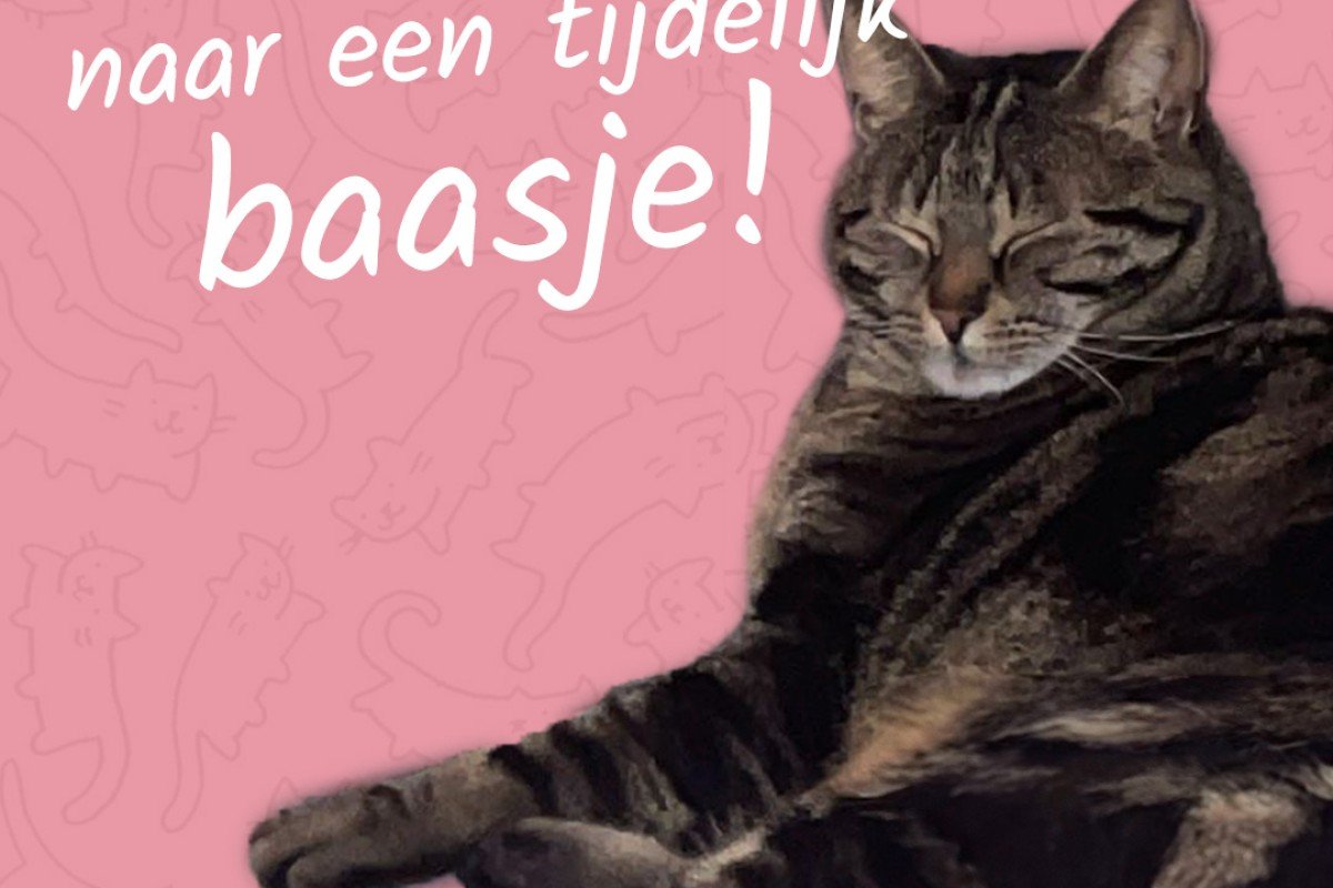 Gijs