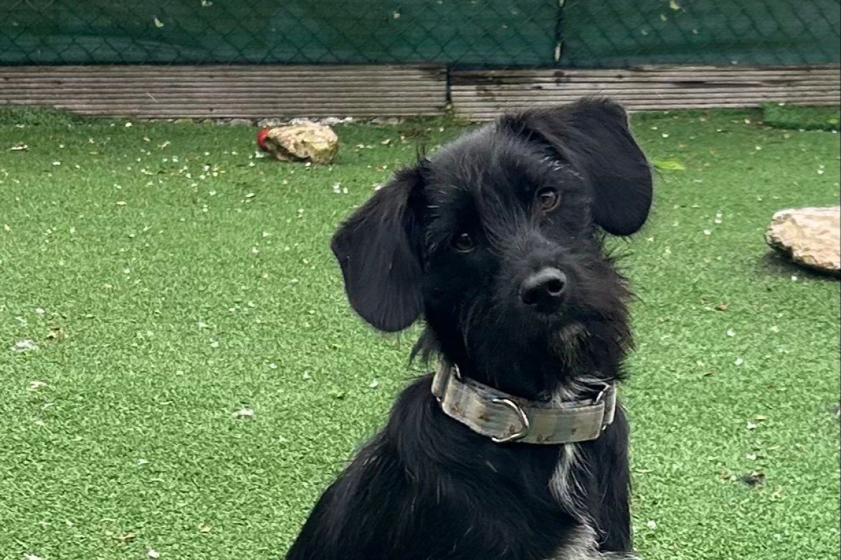 Pablo