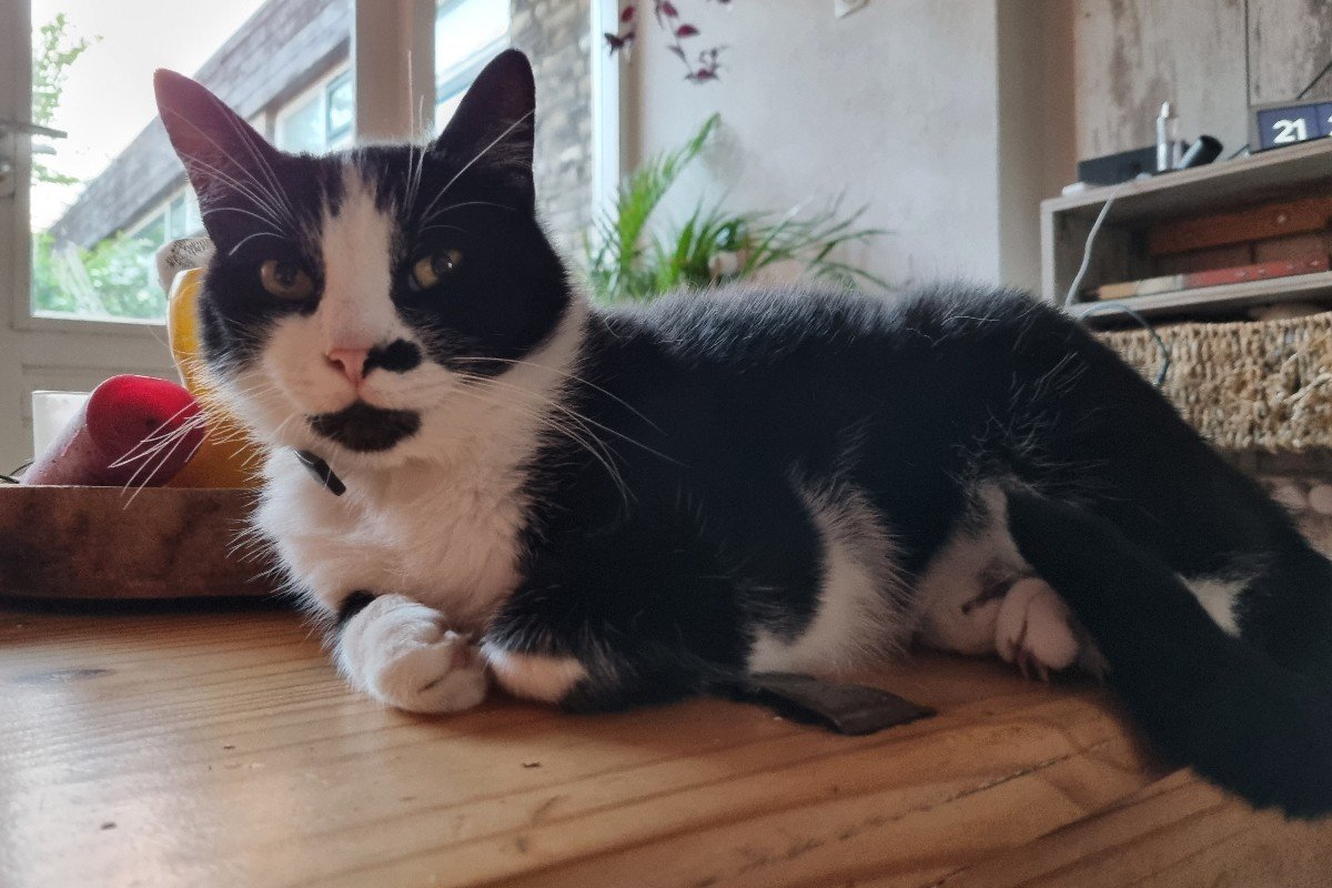 Charlie
