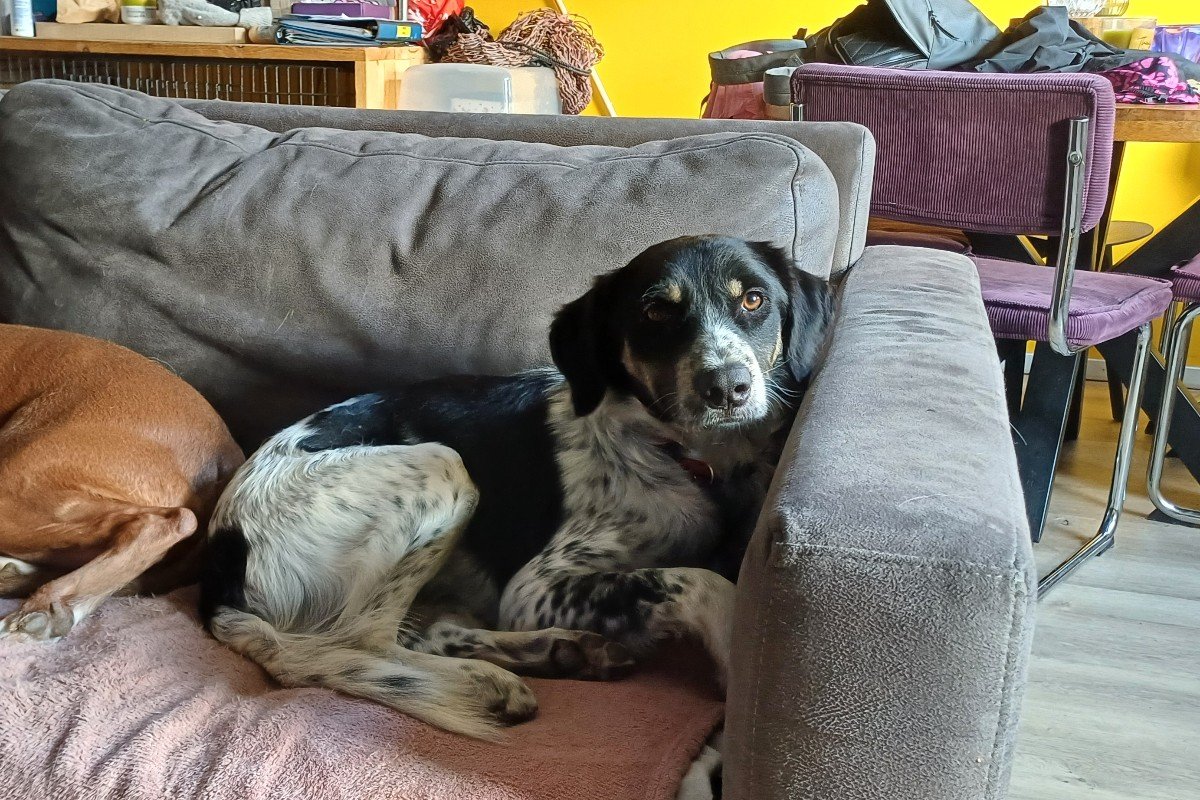 Zeus