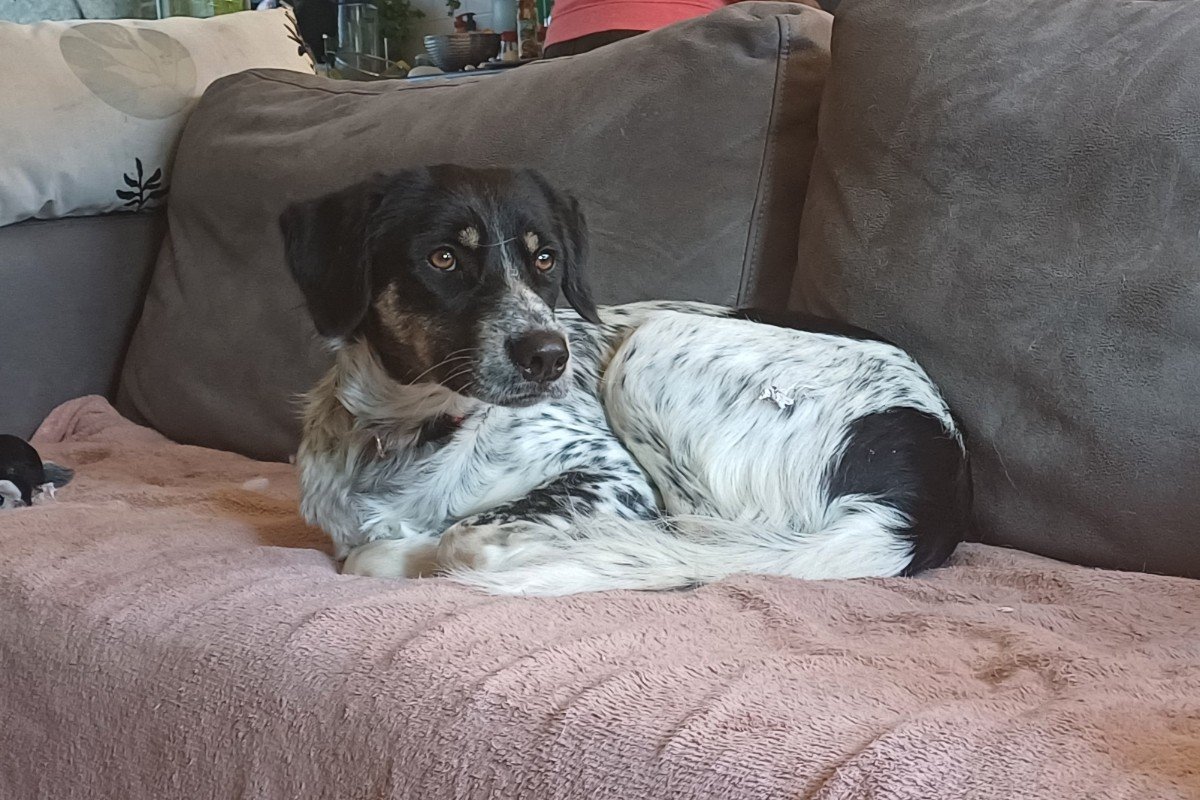 Zeus