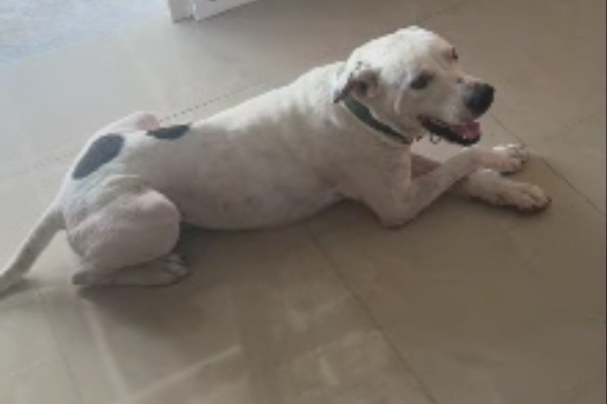 Blanco