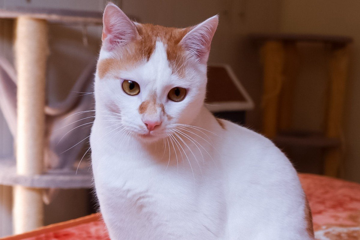 George