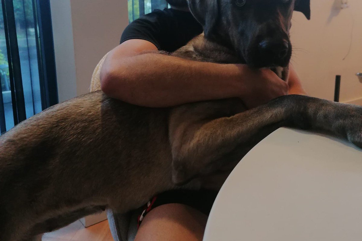 Nova