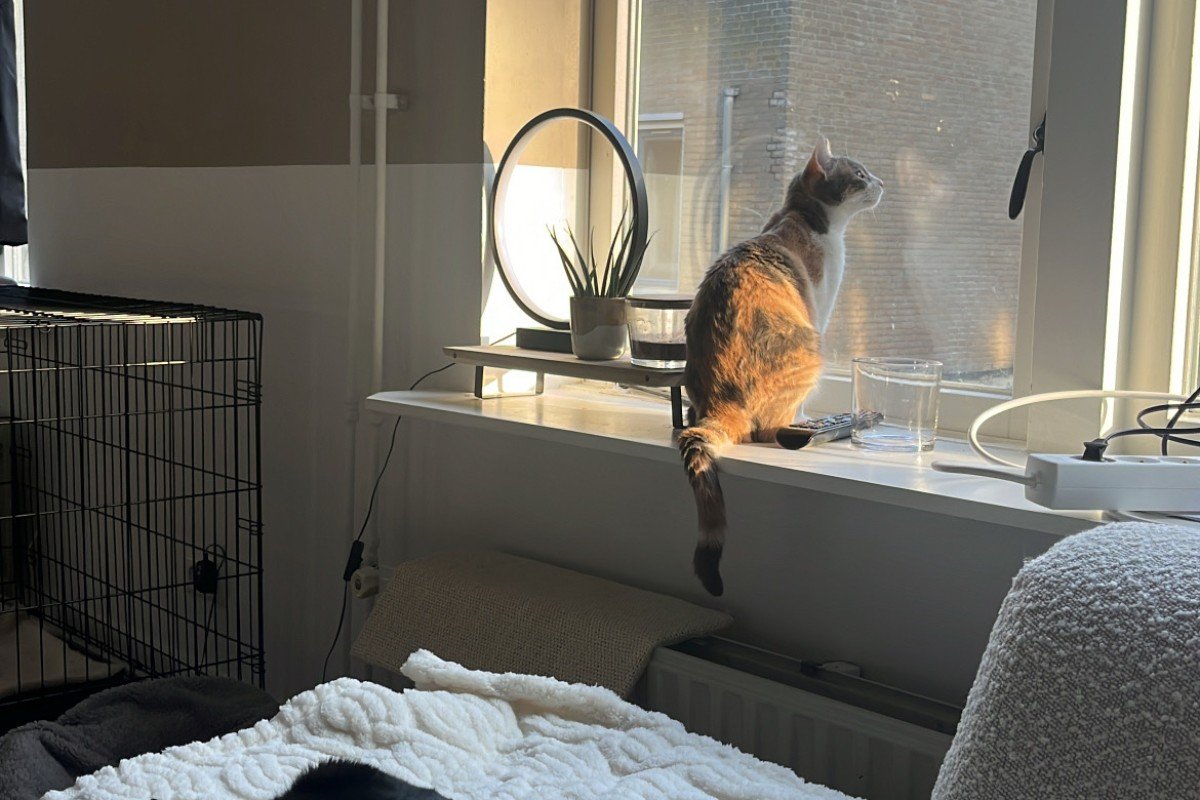Nala