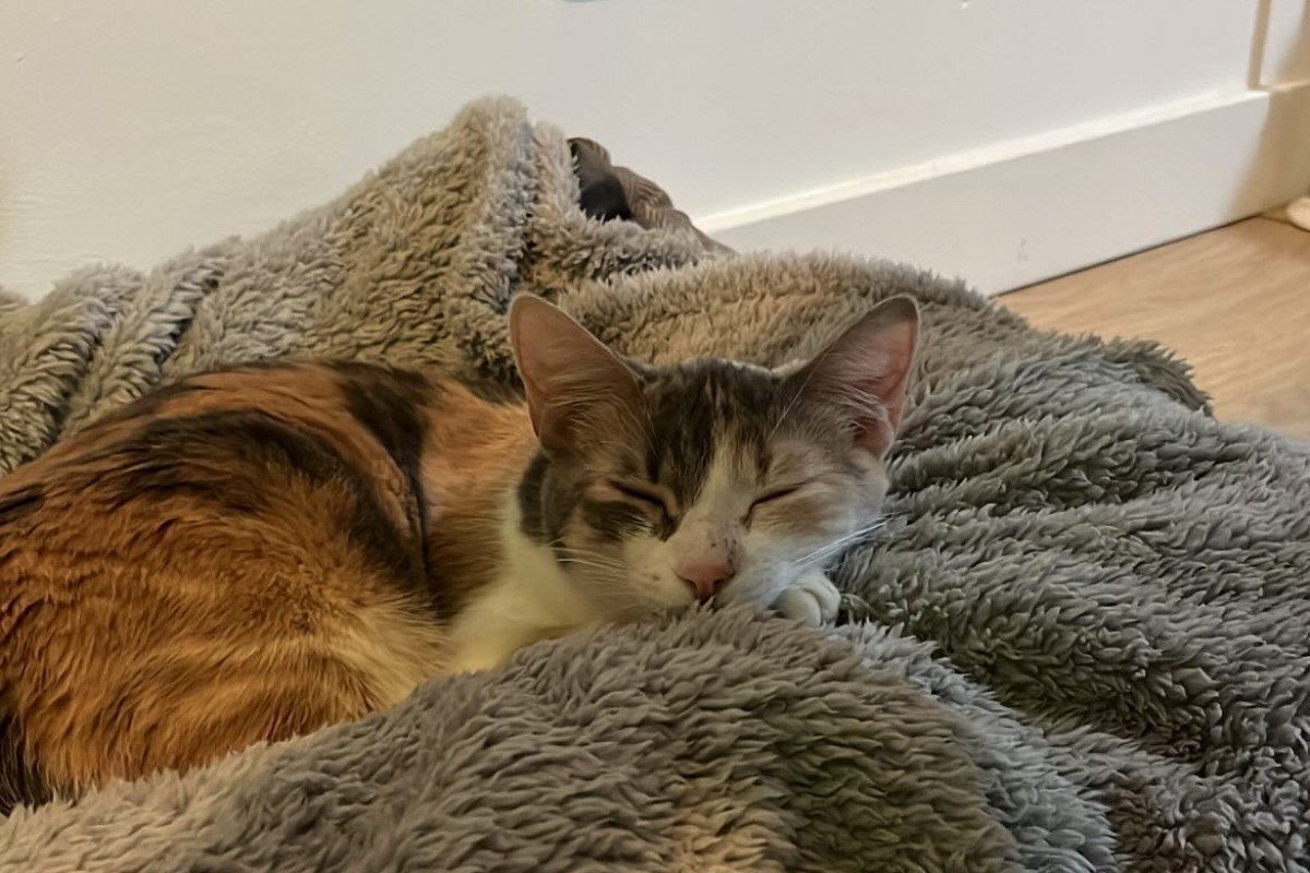 Nala