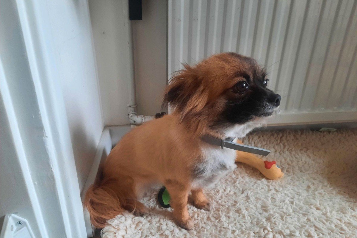 Bailey