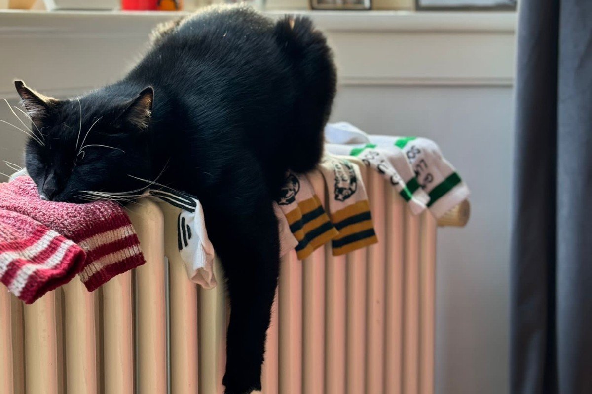 Mr Claude Tuxedo