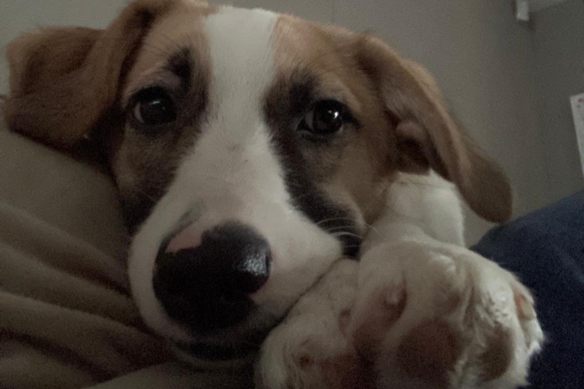 Marley
