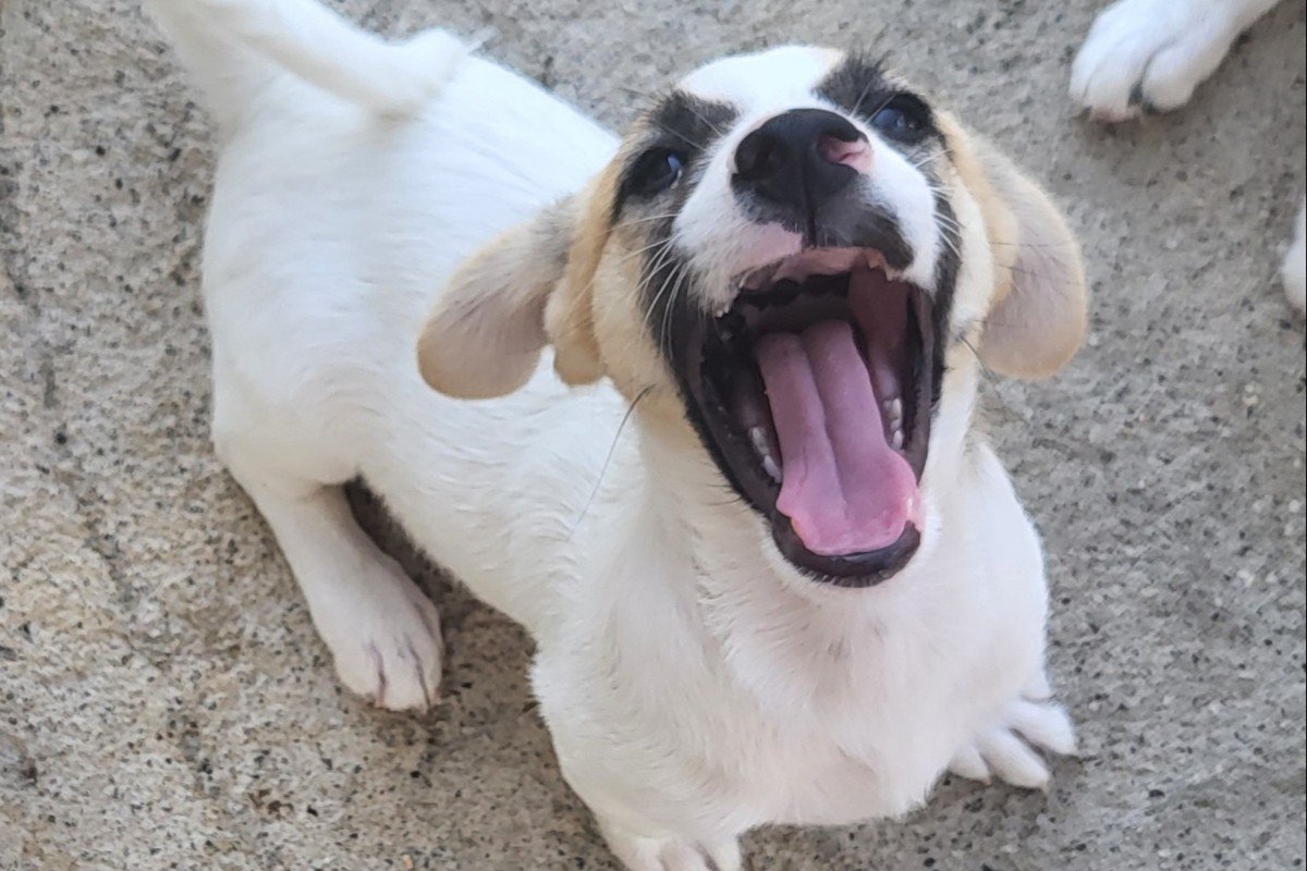 Marley
