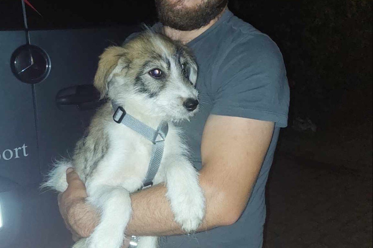 Pupje Bono