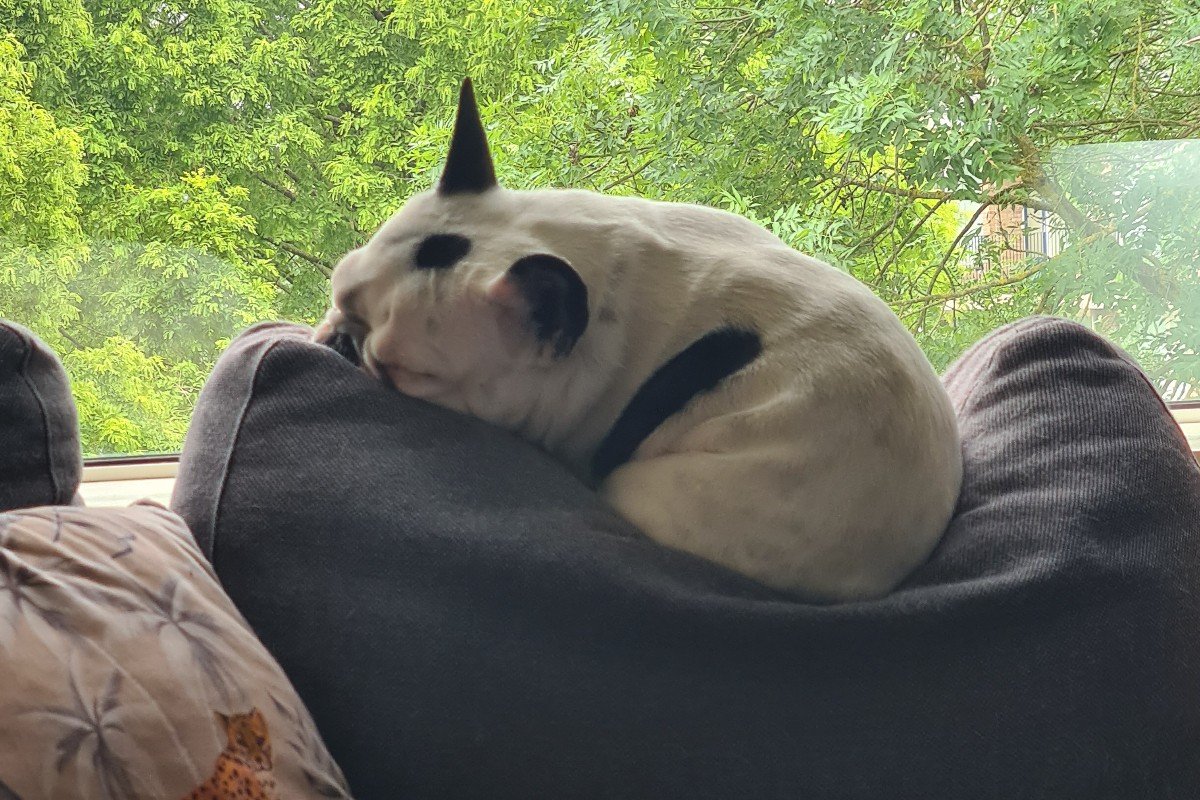 Coco