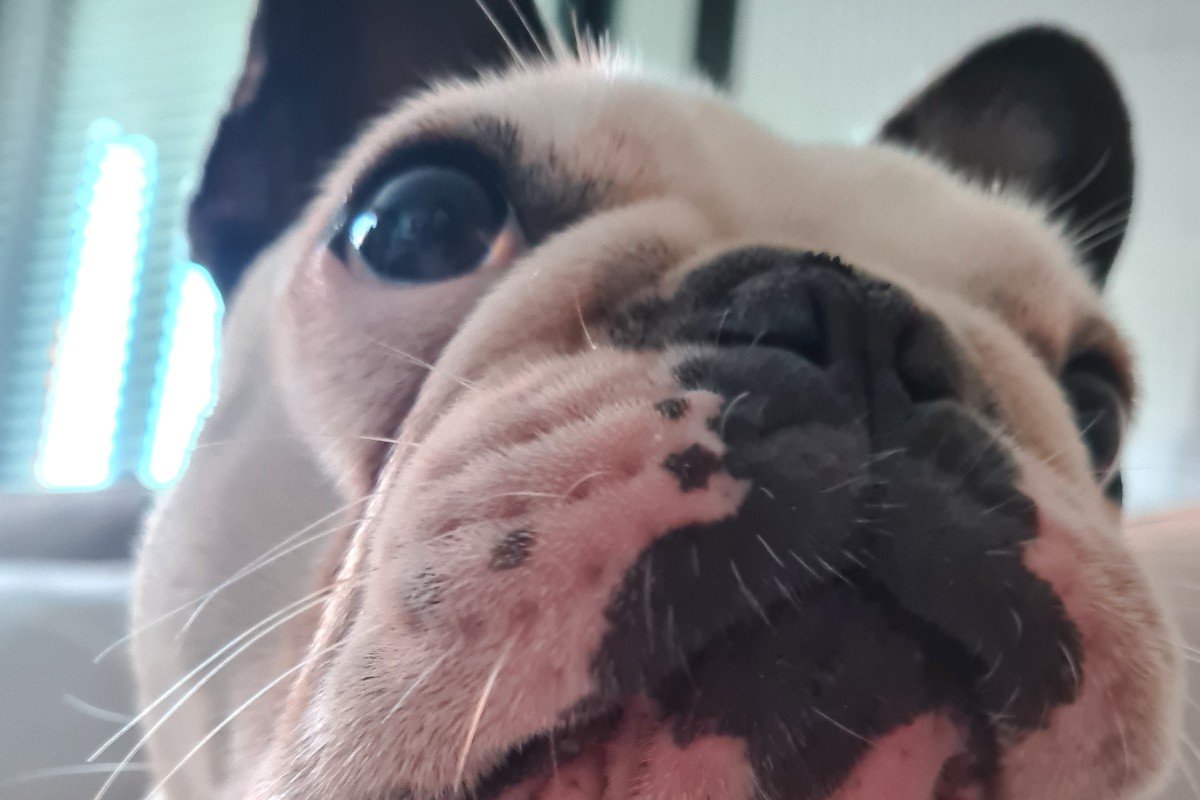Coco