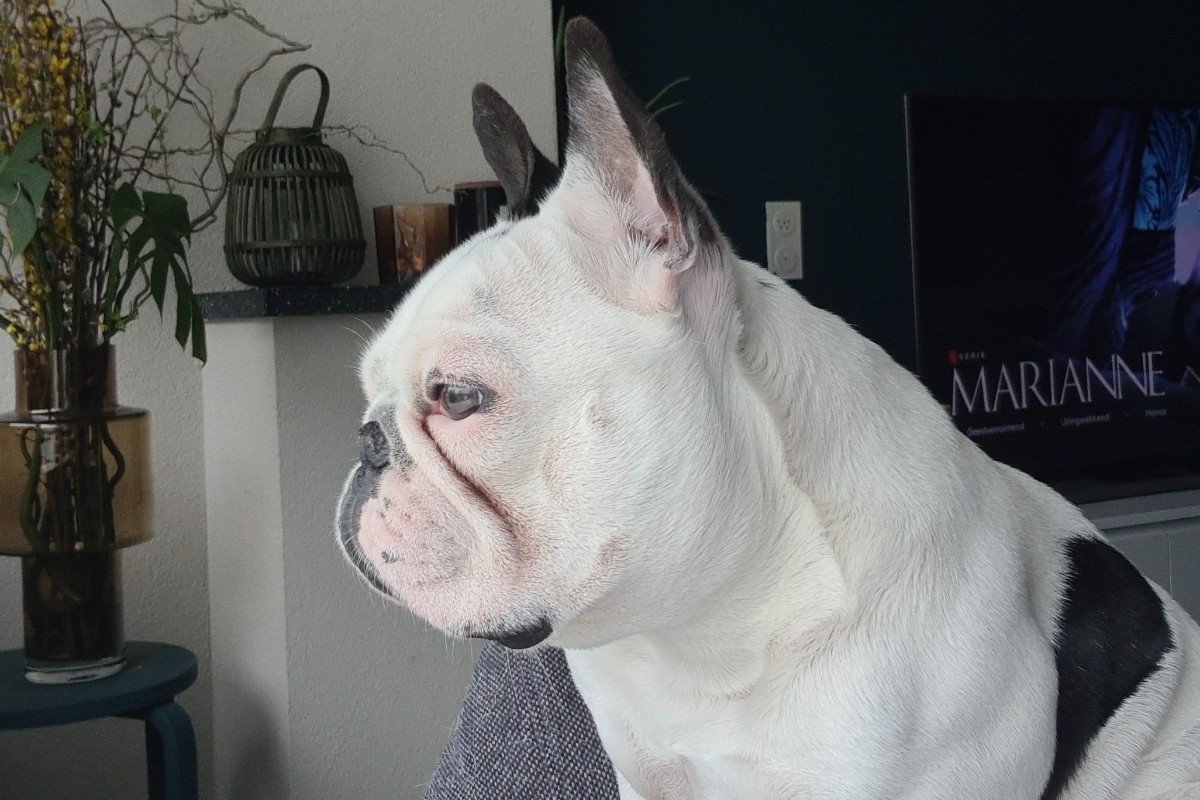 Coco