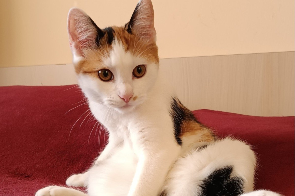 Priya