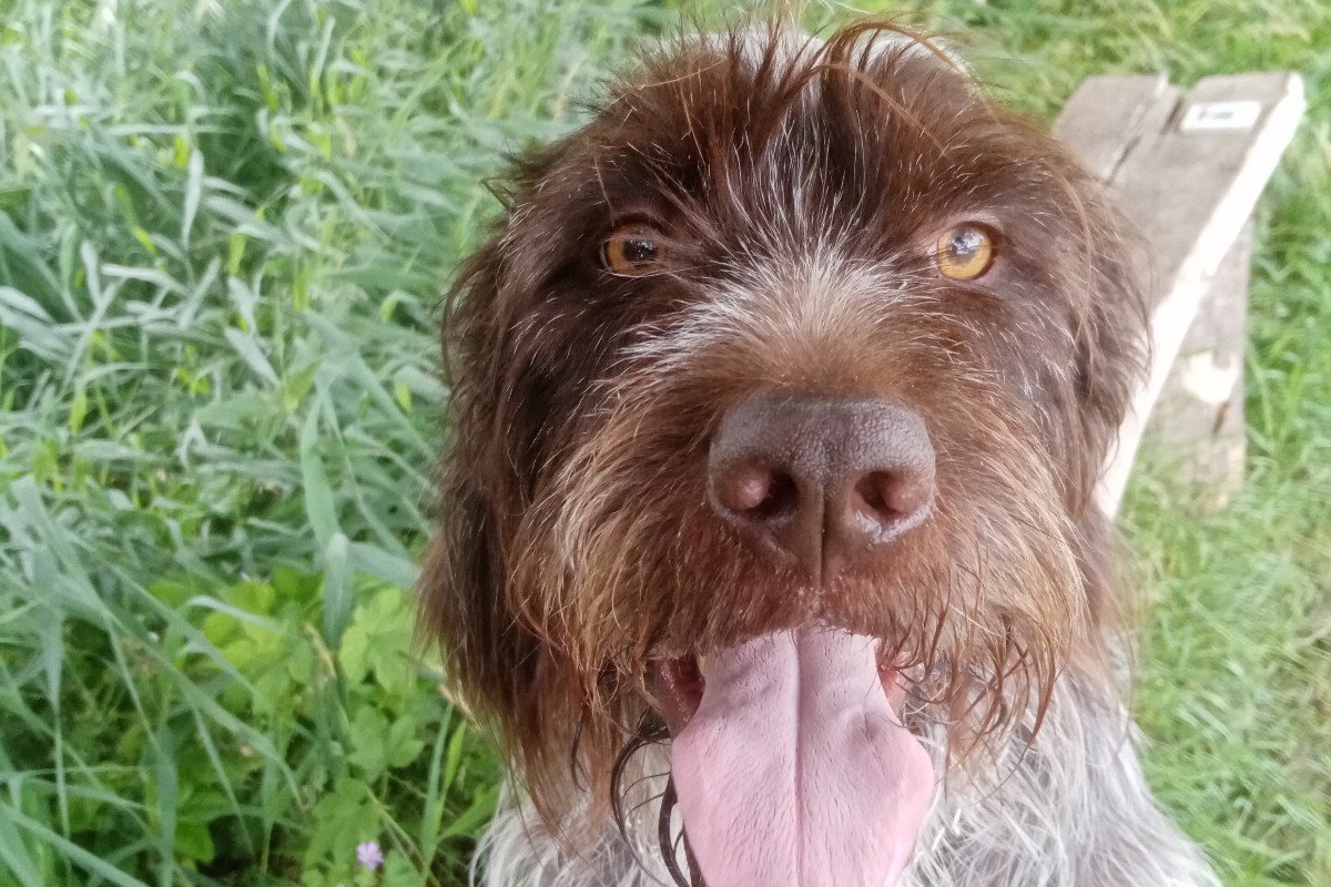 Walter