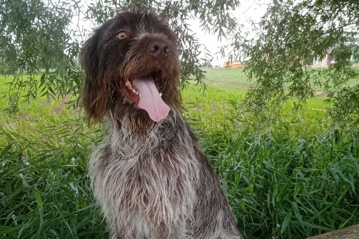 Walter