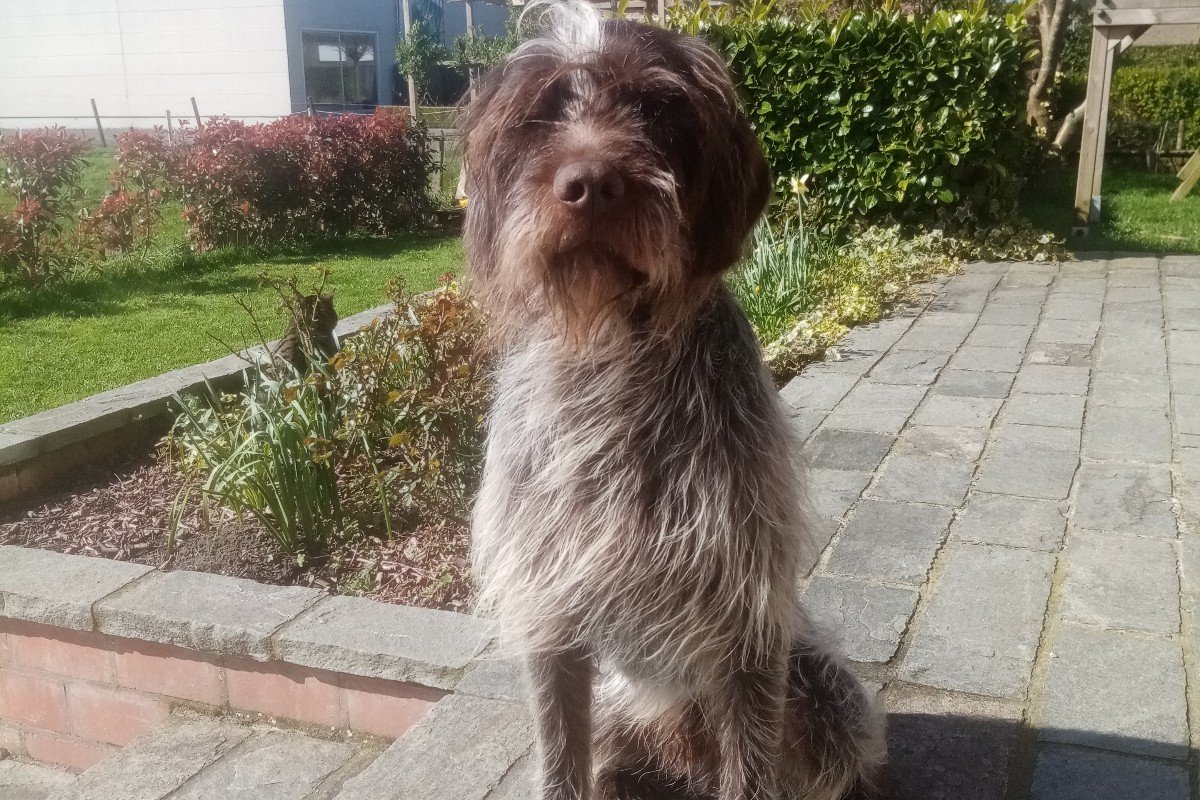 Walter
