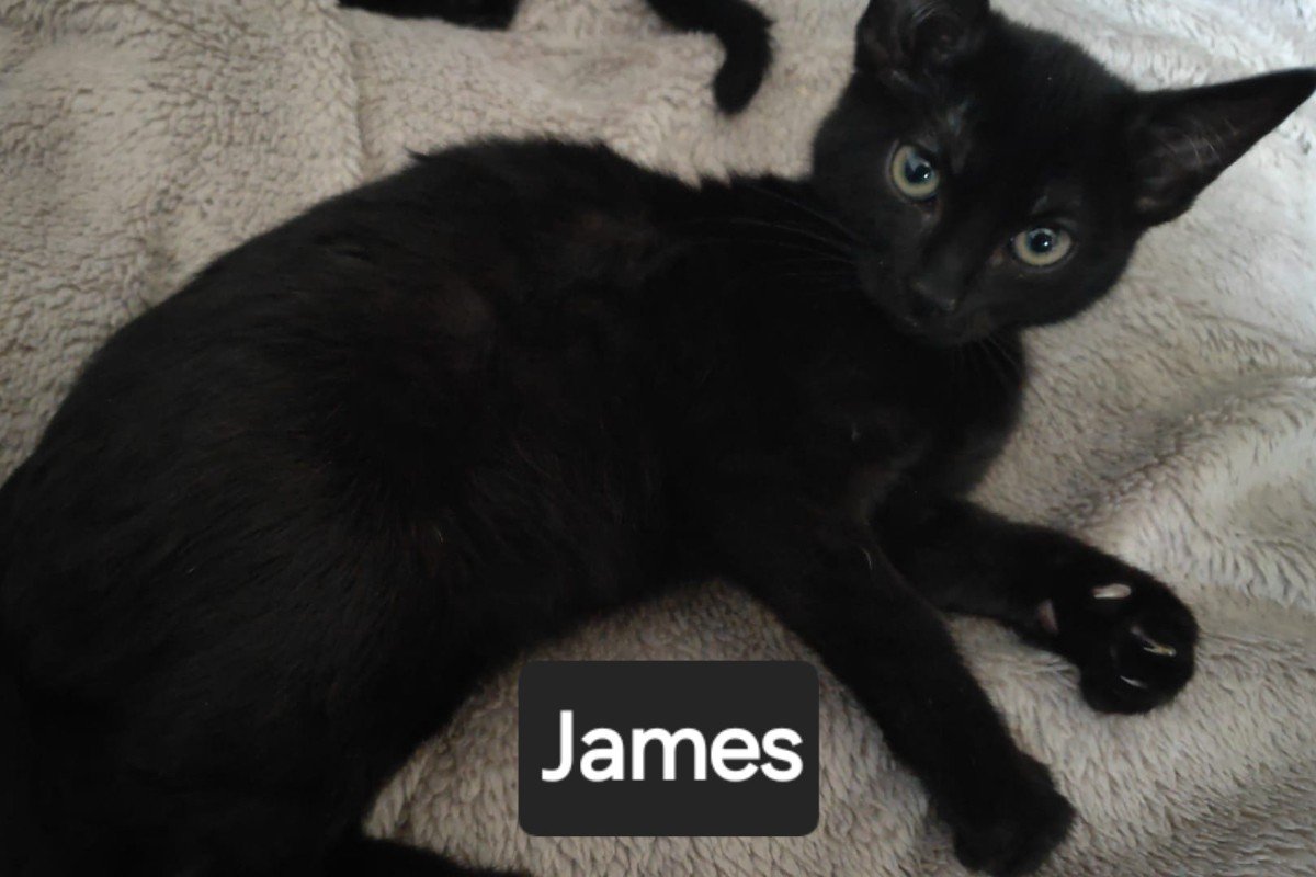 James