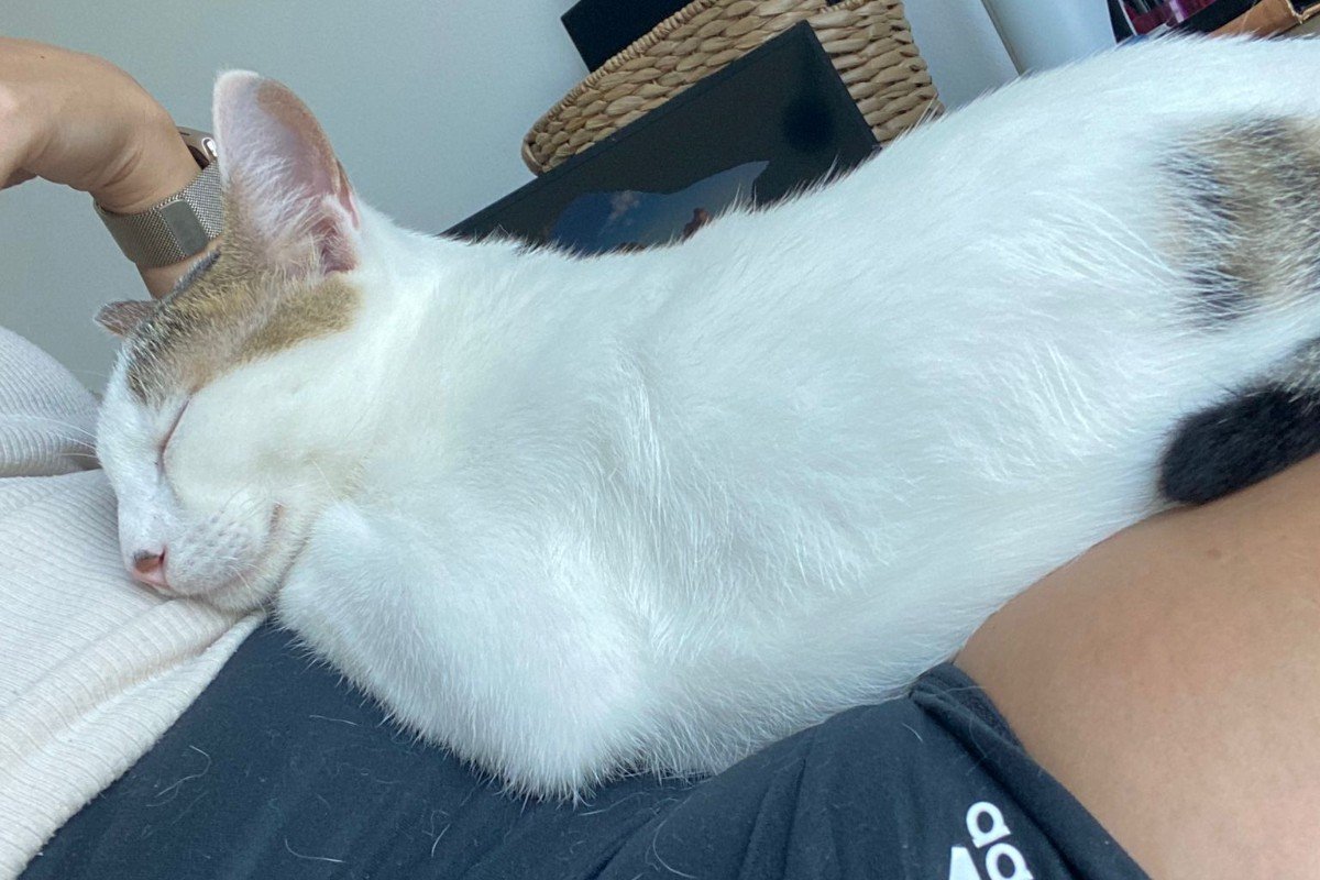 Milo
