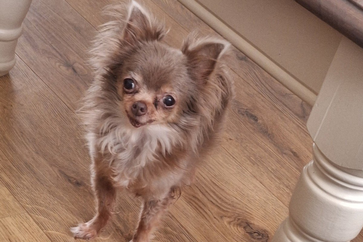 Cloë