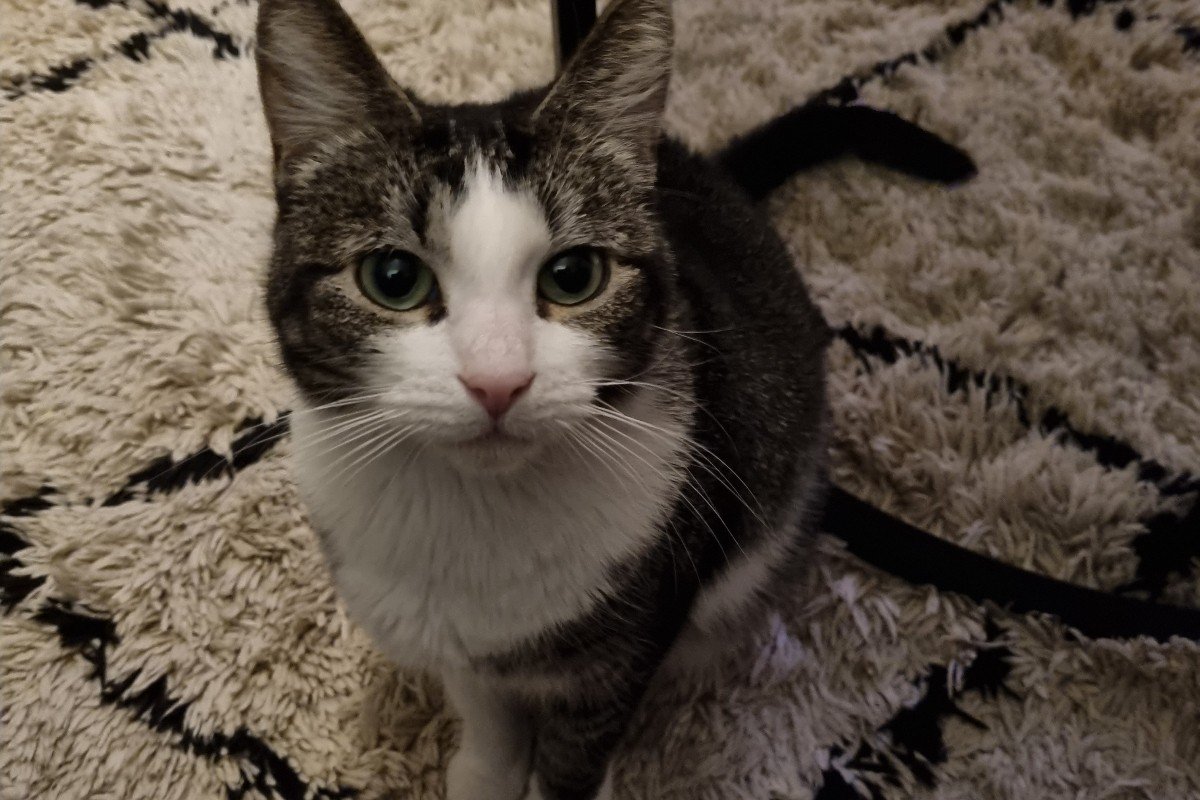 Mia