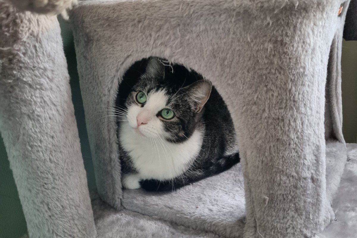 Mia