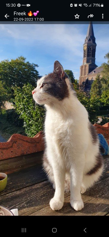 Marley