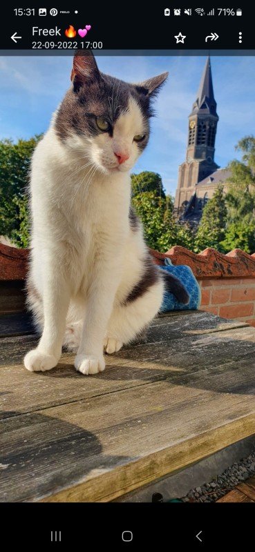 Marley