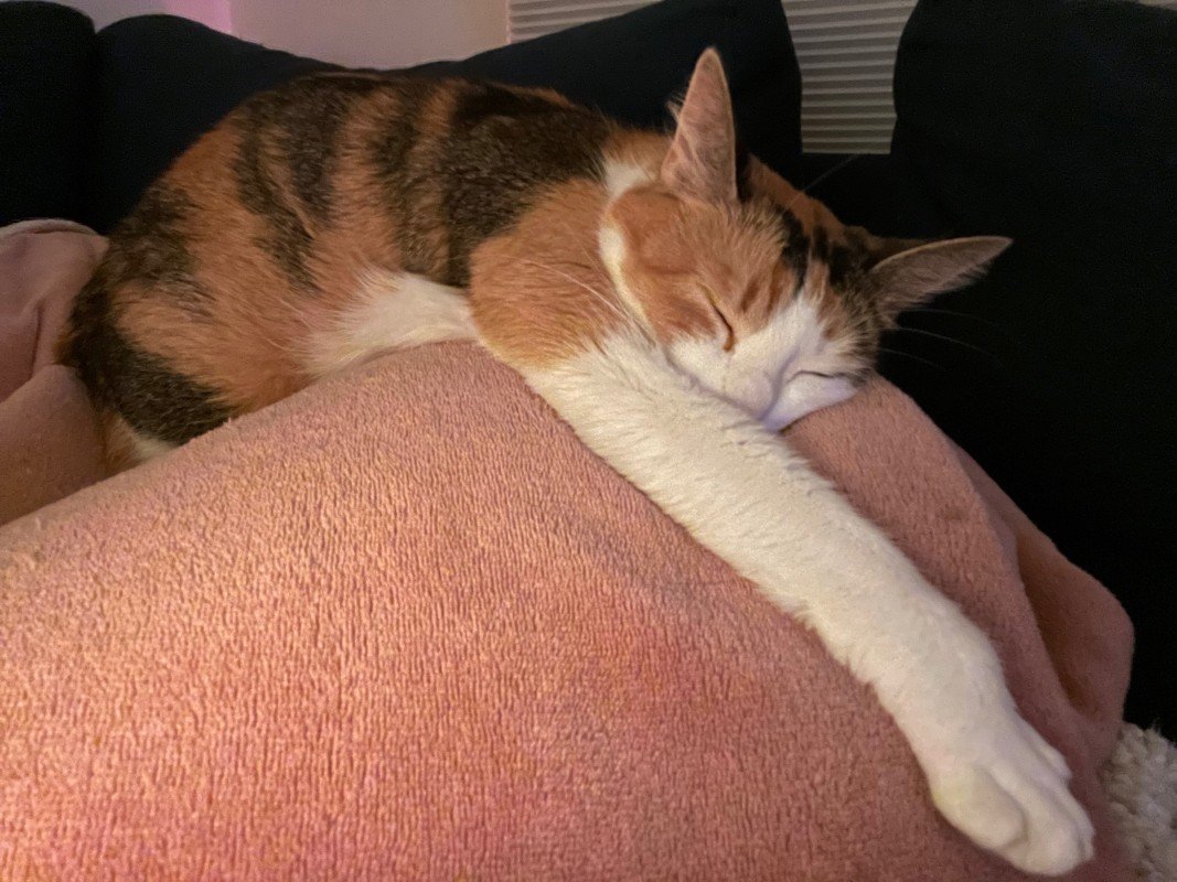 Lua