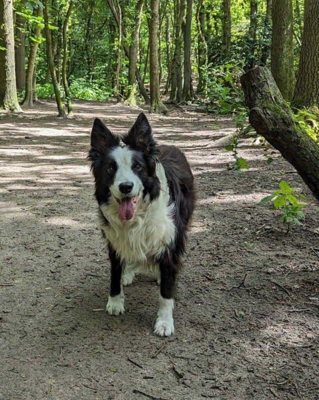 Zoë