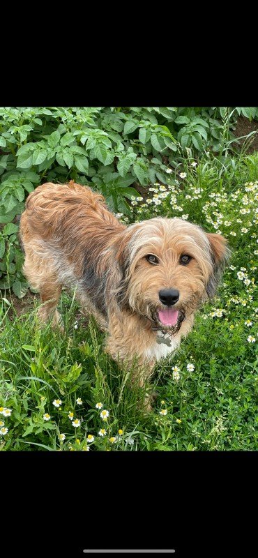 Max