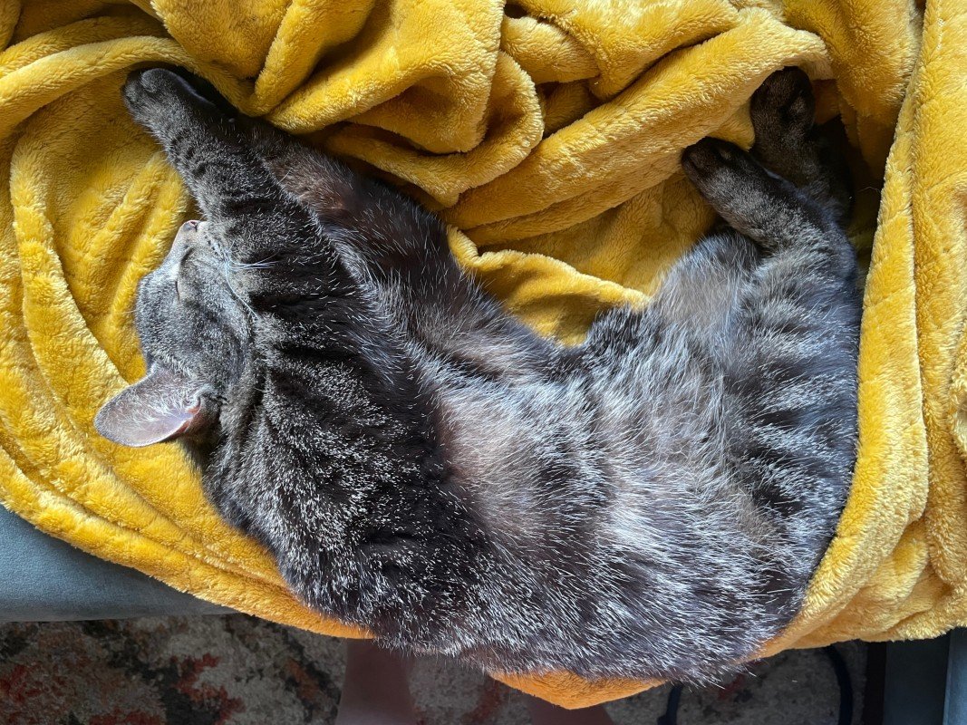 Jane