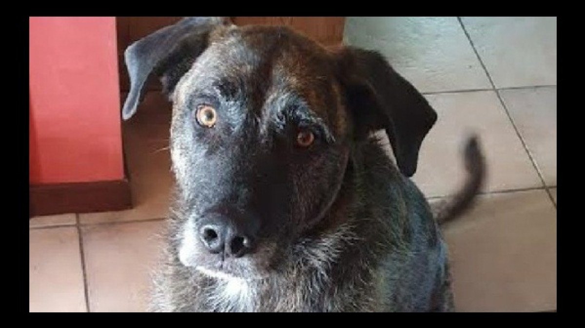 Bruce
