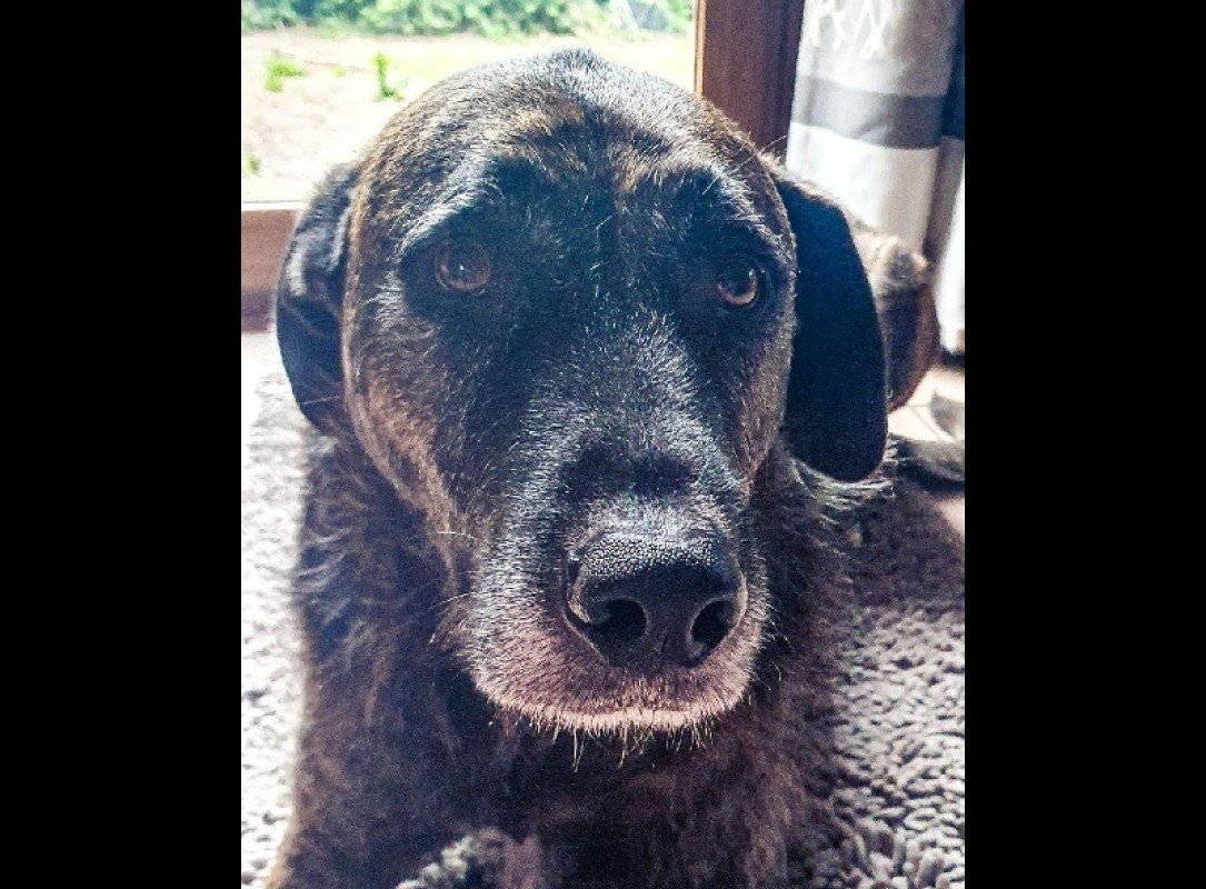Bruce