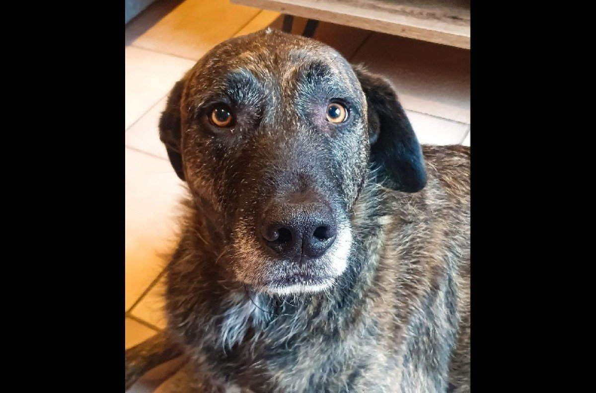 Bruce