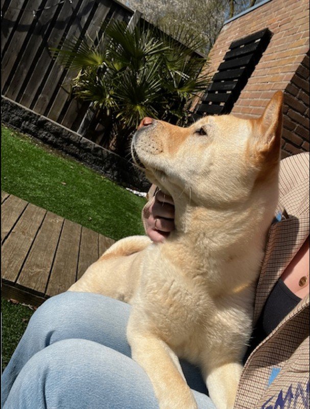 Luna