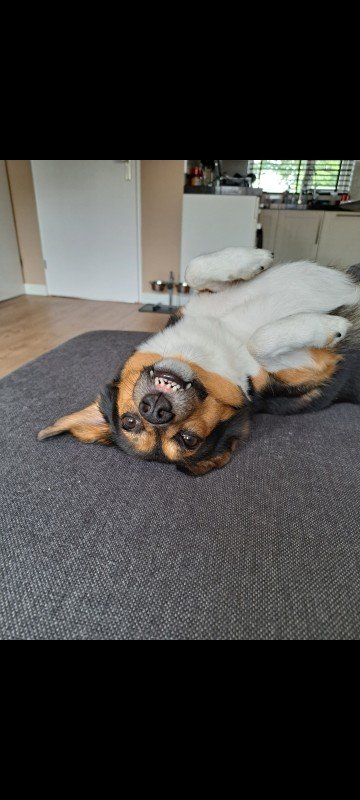 Pablo